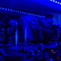 Black Obsession - Foto 57 von 67