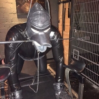 Black Obsession - Foto 56 von 67