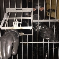 Black Obsession - Foto 54 von 67