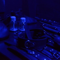 Black Obsession - Foto 49 von 67