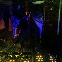 Black Obsession - Foto 44 von 67