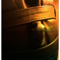 Black Obsession - Foto 29 von 67