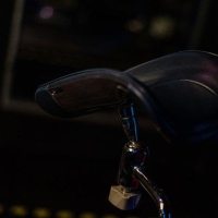 Black Obsession - Foto 19 von 67