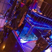 Blue Emotion - Foto 24 von 24