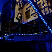 Blue Emotion - Foto 9 von 24