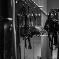 Blue Emotion - Foto 2 von 24