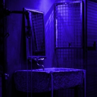 Royal Estate - Foto 26 von 35