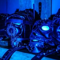 Royal Estate - Foto 25 von 35