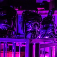 Royal Estate - Foto 23 von 35