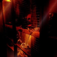 Royal Estate - Foto 21 von 35