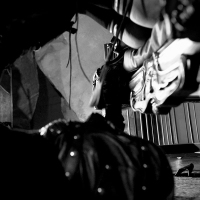 Royal Estate - Foto 17 von 35