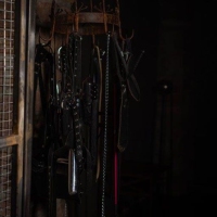 Royal Estate - Foto 15 von 35