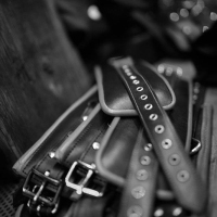 Royal Estate - Foto 10 von 35