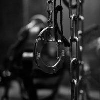 Royal Estate - Foto 9 von 35