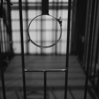 Royal Estate - Foto 7 von 35