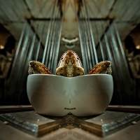 Jail House - Foto 19 von 33