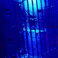 Jail House - Foto 9 von 33