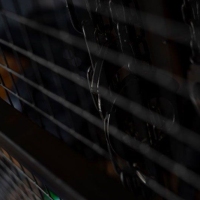 Jail House - Foto 6 von 33