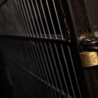 Jail House - Foto 5 von 33