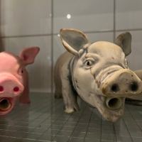 Medical Dreams - Foto 19 von 24