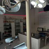 Medical Dreams - Foto 9 von 24