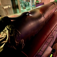 Black Obsession - Foto 4 von 67