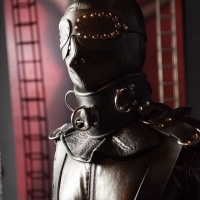 Leder Eleganz - Foto 1 von 32